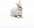 Ангорский кролик  - миниатюра №2